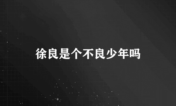徐良是个不良少年吗