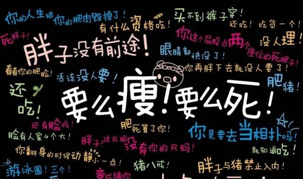 手机锁屏胖子没前途的壁纸 请问谁有