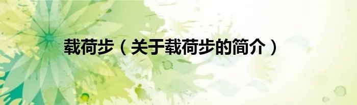 载荷步（关于载荷步的简介）