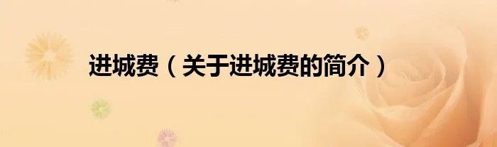 进城费（关于进城费的简介）