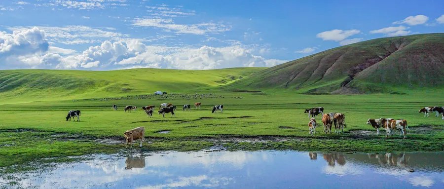 情侣十大旅游圣地排名,第二是人间天堂,三亚上榜