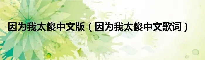 因为我太傻中文版（因为我太傻中文歌词）