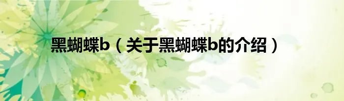 黑蝴蝶b（关于黑蝴蝶b的介绍）