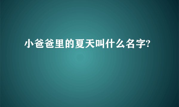 小爸爸里的夏天叫什么名字?