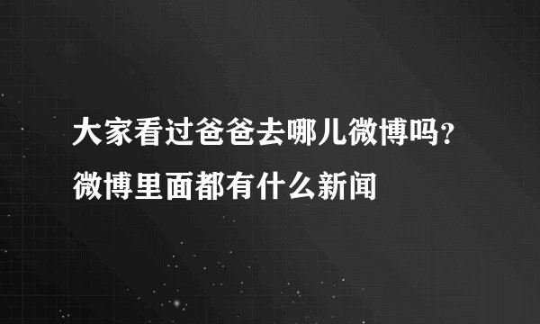 大家看过爸爸去哪儿微博吗？微博里面都有什么新闻