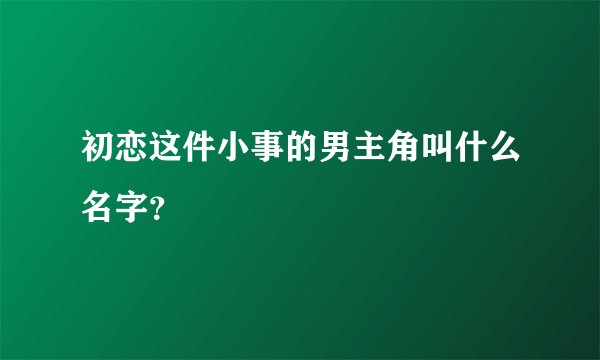 初恋这件小事的男主角叫什么名字?