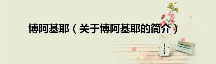 博阿基耶（关于博阿基耶的简介）