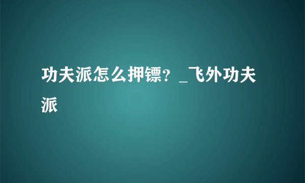 功夫派怎么押镖？_飞外功夫派