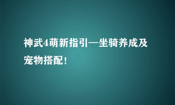 神武4萌新指引—坐骑养成及宠物搭配！