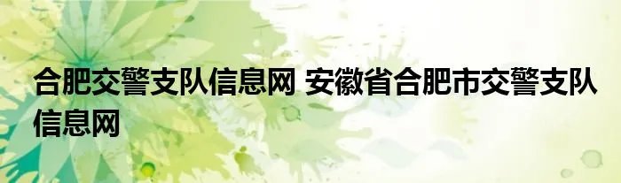 合肥交警支队信息网 安徽省合肥市交警支队信息网