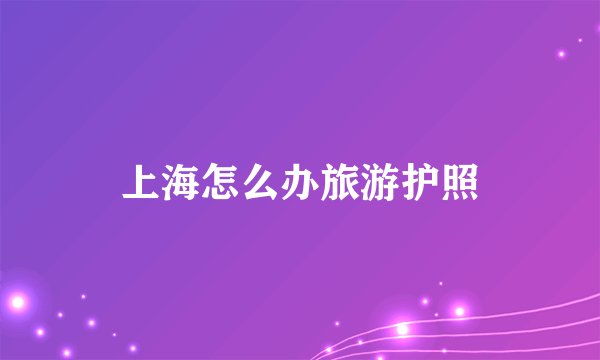 上海怎么办旅游护照