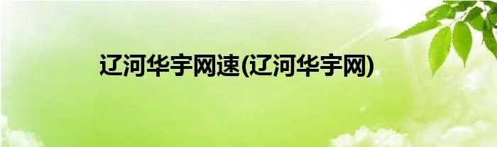 辽河华宇网速(辽河华宇网)