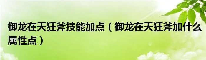 御龙在天狂斧技能加点（御龙在天狂斧加什么属性点）