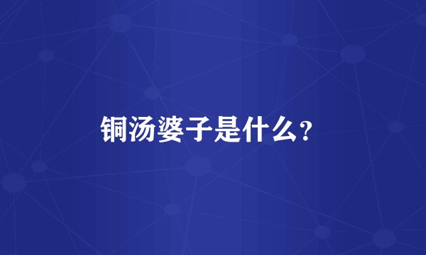 铜汤婆子是什么？