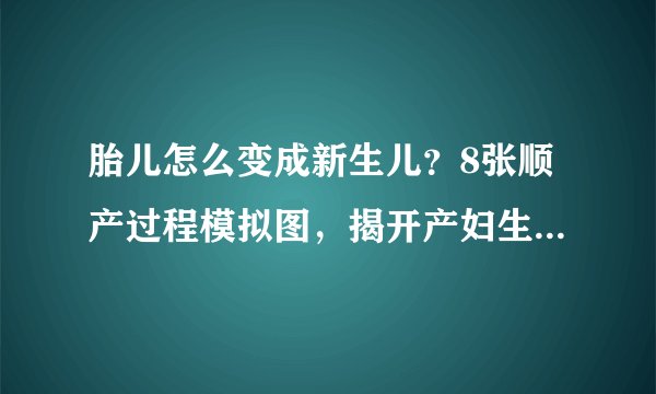 胎儿怎么变成新生儿?8张顺产过程模拟图,揭开产妇生娃全过程