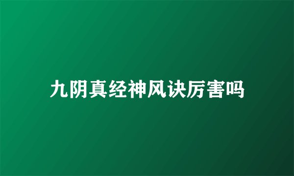 九阴真经神风诀厉害吗