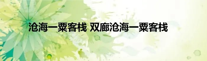 沧海一粟客栈 双廊沧海一粟客栈