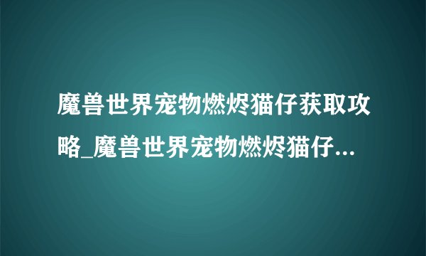 魔兽世界宠物燃烬猫仔获取攻略_魔兽世界宠物燃烬猫仔怎么获取_飞外