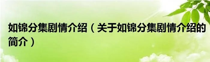 如锦分集剧情介绍（关于如锦分集剧情介绍的简介）