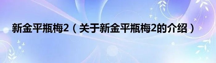 新金平瓶梅2（关于新金平瓶梅2的介绍）
