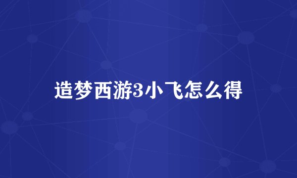 造梦西游3小飞怎么得