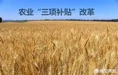 农村补贴项目有哪些?