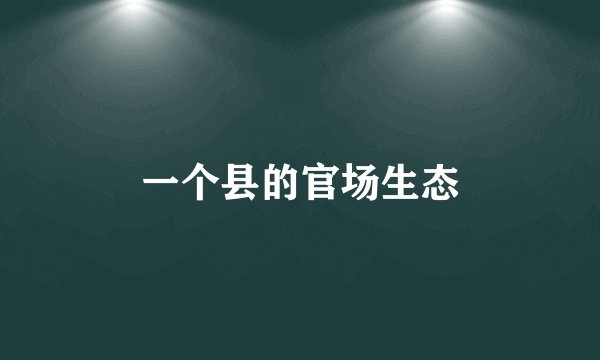 一个县的官场生态