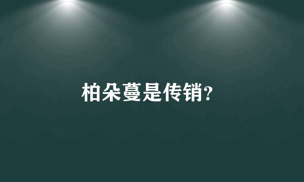 柏朵蔓是传销？