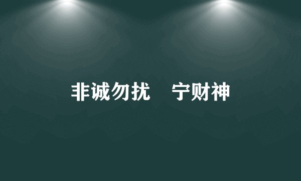 非诚勿扰 宁财神