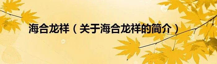 海合龙祥（关于海合龙祥的简介）