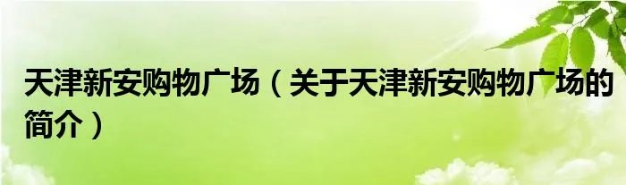 天津新安购物广场（关于天津新安购物广场的简介）