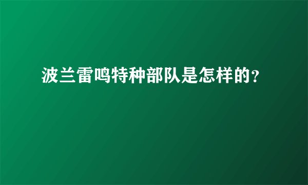 波兰雷鸣特种部队是怎样的？