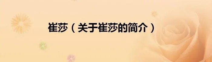 崔莎（关于崔莎的简介）
