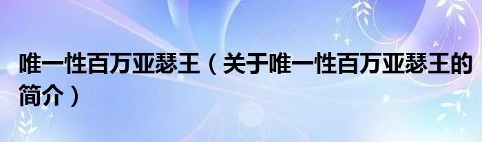 唯一性百万亚瑟王（关于唯一性百万亚瑟王的简介）