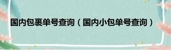 国内包裹单号查询(国内小包单号查询)