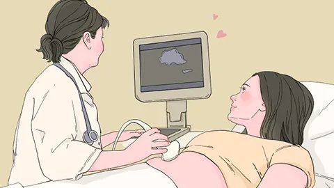 未婚女性做什么体检项目呢
