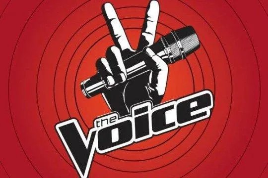 中国好声音第二季结果众望所归 李琦一举摘得桂冠