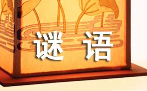 中国谜语大会第三季谜语荟萃