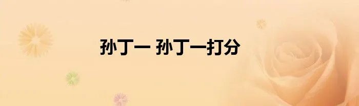 孙丁一 孙丁一打分