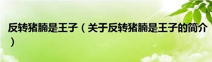 反转猪腩是王子（关于反转猪腩是王子的简介）