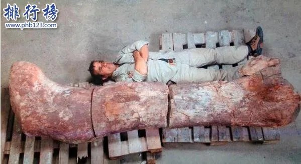 世界上最大的恐龙化石:泰坦巨龙身长40米重77吨(相当于14头大象)