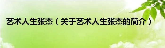 艺术人生张杰（关于艺术人生张杰的简介）