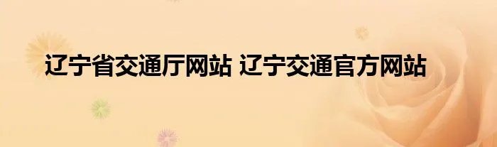 辽宁省交通厅网站 辽宁交通官方网站