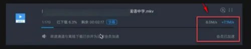 迅雷for mac怎么使用