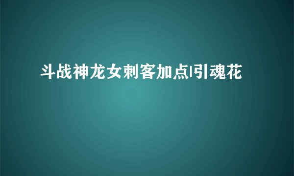 斗战神龙女刺客加点|引魂花