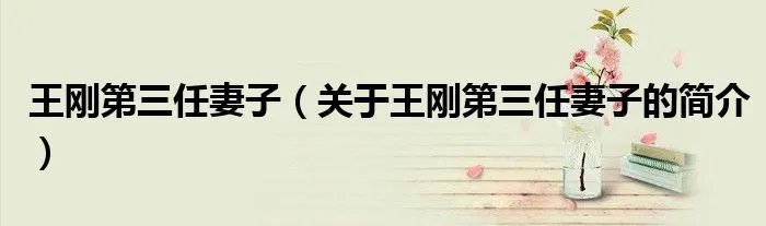 王刚第三任妻子（关于王刚第三任妻子的简介）
