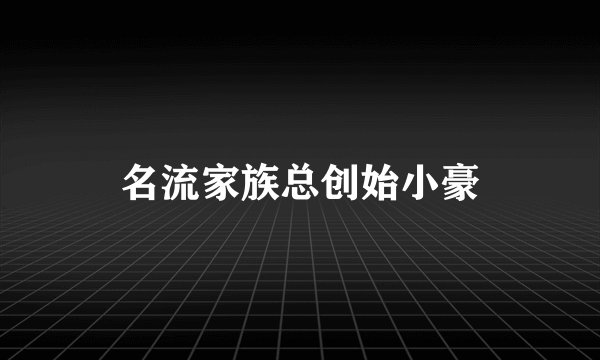 名流家族总创始小豪