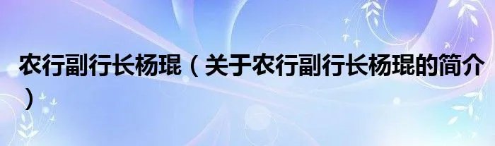 农行副行长杨琨（关于农行副行长杨琨的简介）