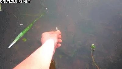 亚洲女平衡大师简介(搞笑趣图:蛇精转世!舌头舔鼻尖)