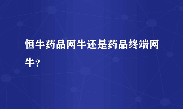 恒牛药品网牛还是药品终端网牛？